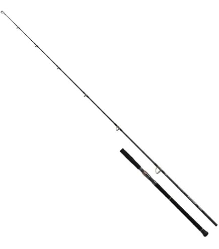 Amazon | ダイワ(DAIWA) キャスティングロッド SALTIGA BREAKTHROUGH